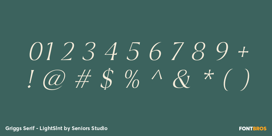 Griggs Serif - LightSlnt Font Poster #4