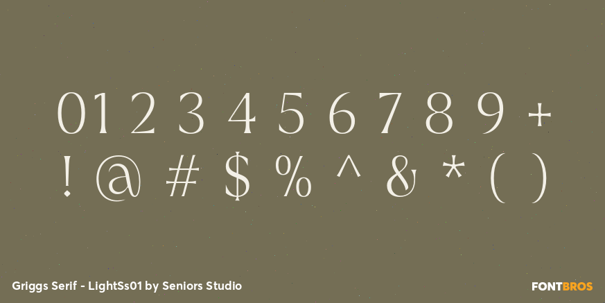 Griggs Serif - LightSs01 Font Poster #4
