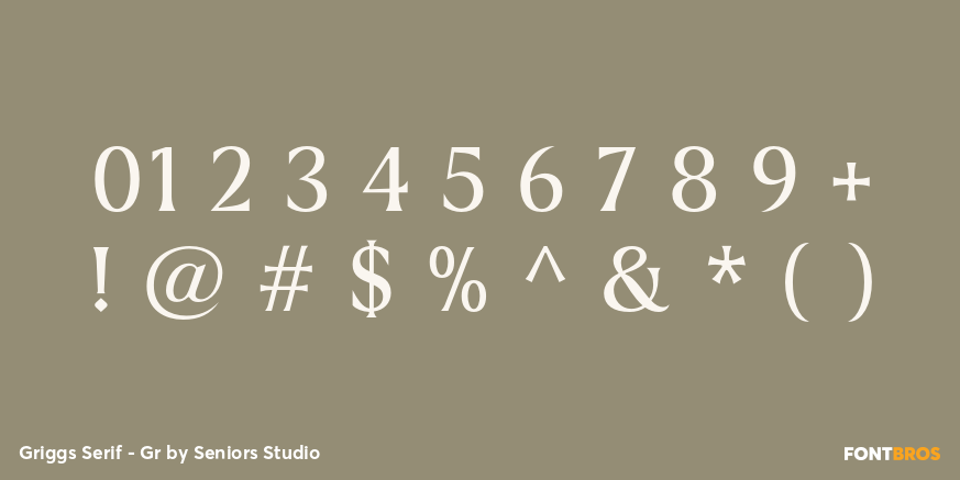 Griggs Serif - Gr Font Poster #4