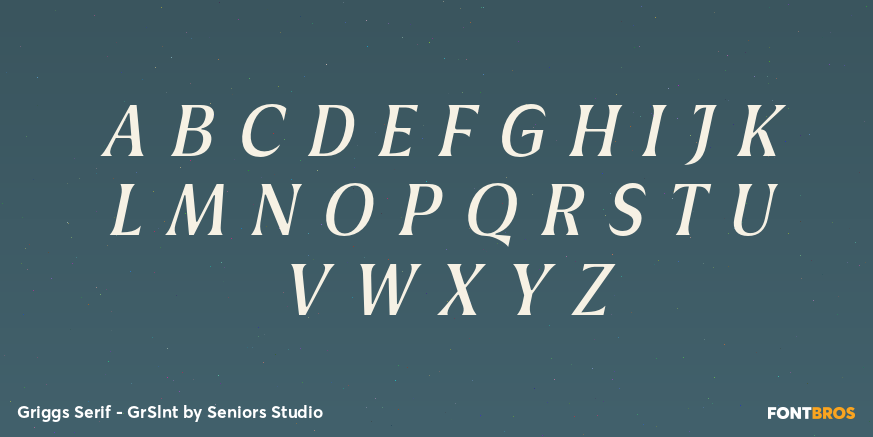 Griggs Serif - GrSlnt Font Poster #2