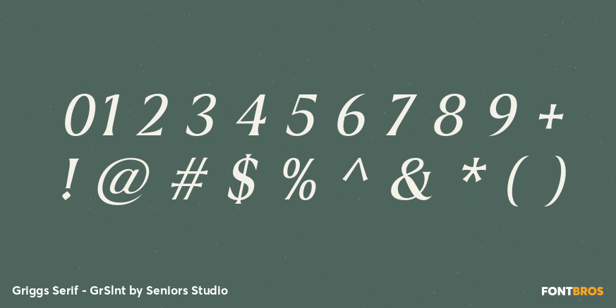 Griggs Serif - GrSlnt Font Poster #4