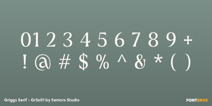 Griggs Serif - GrSs01 Font Poster #4