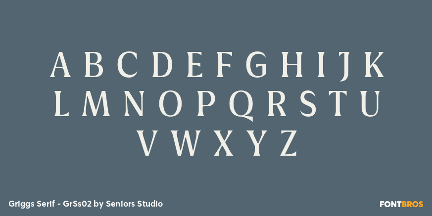 Griggs Serif - GrSs02 Font Poster #2