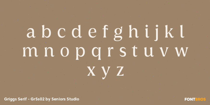 Griggs Serif - GrSs02 Font Poster #3