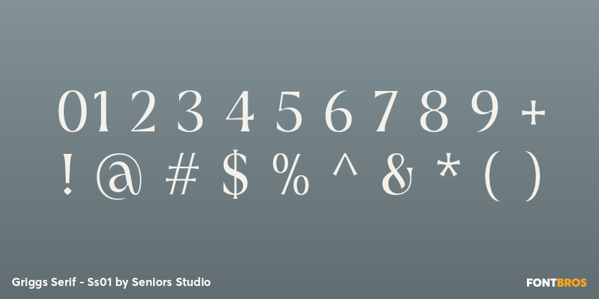 Griggs Serif - Ss01 Font Poster #4