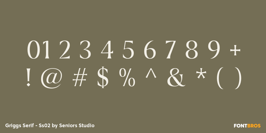 Griggs Serif - Ss02 Font Poster #4