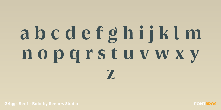 Griggs Serif - Bold Font Poster #3