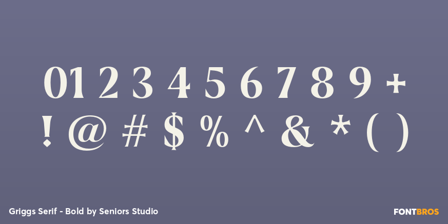 Griggs Serif - Bold Font Poster #4