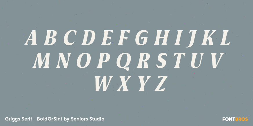 Griggs Serif - BoldGrSlnt Font Poster #2