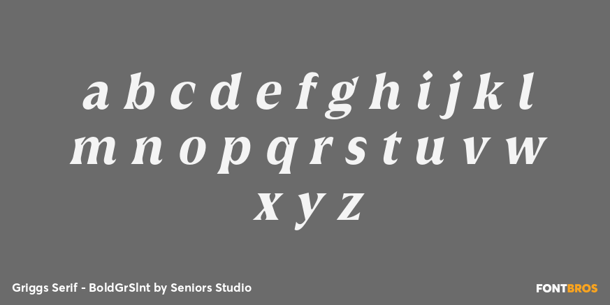 Griggs Serif - BoldGrSlnt Font Poster #3