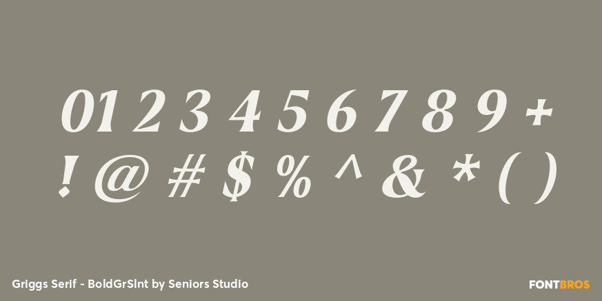 Griggs Serif - BoldGrSlnt Font Poster #4