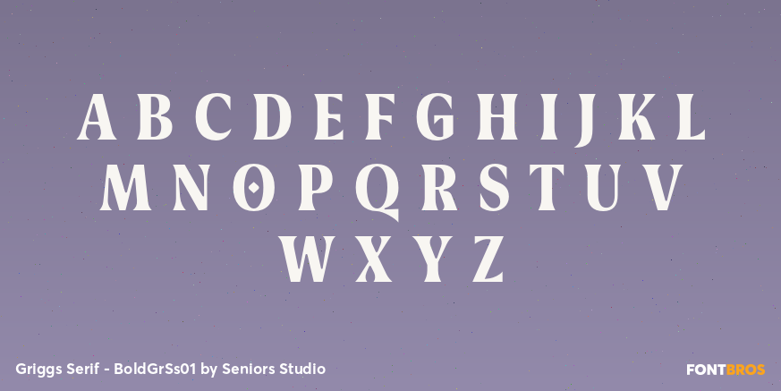 Griggs Serif - BoldGrSs01 Font Poster #2