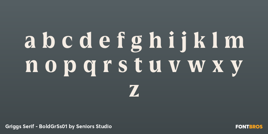 Griggs Serif - BoldGrSs01 Font Poster #3