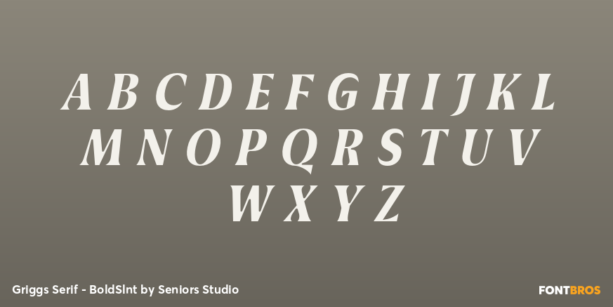 Griggs Serif - BoldSlnt Font Poster #2
