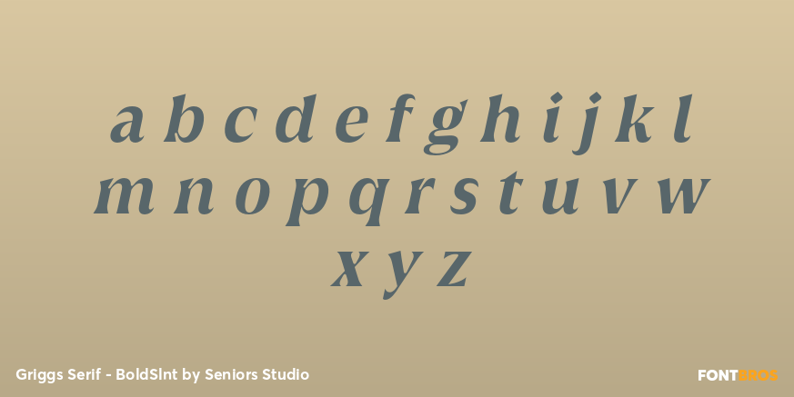 Griggs Serif - BoldSlnt Font Poster #3