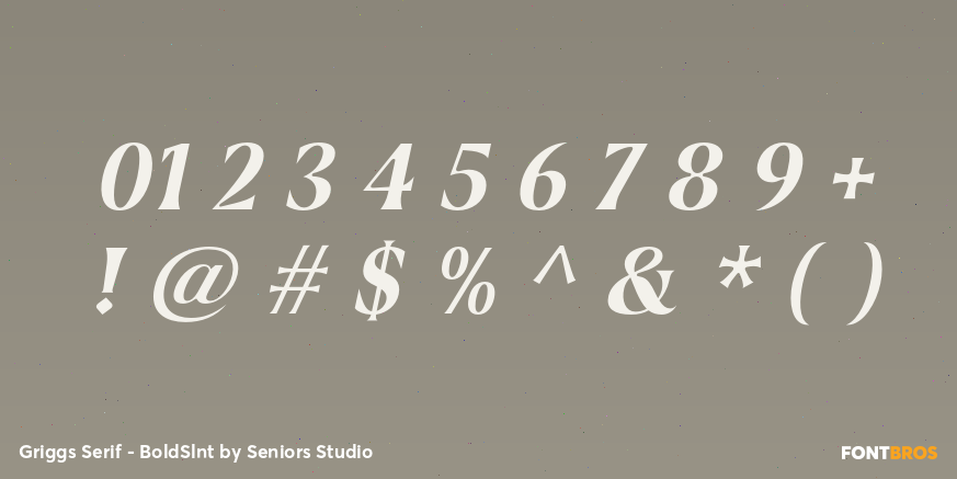 Griggs Serif - BoldSlnt Font Poster #4