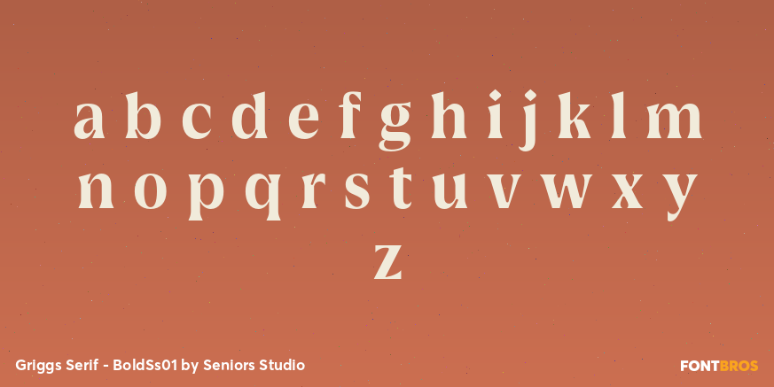Griggs Serif - BoldSs01 Font Poster #3