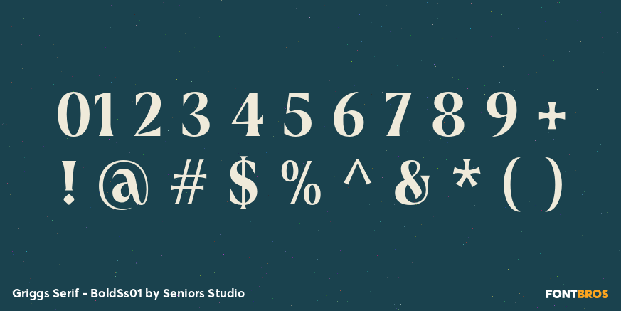 Griggs Serif - BoldSs01 Font Poster #4