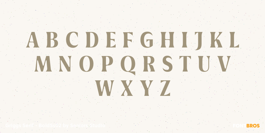 Griggs Serif - BoldSs02 Font Poster #2