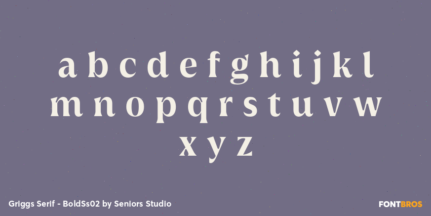 Griggs Serif - BoldSs02 Font Poster #3