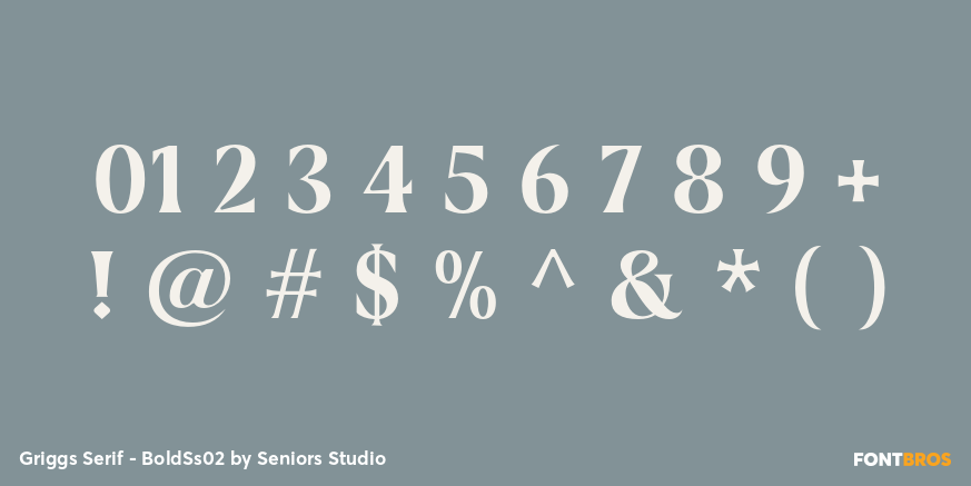 Griggs Serif - BoldSs02 Font Poster #4