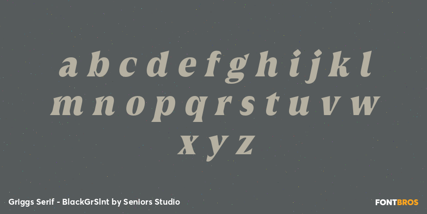 Griggs Serif - BlackGrSlnt Font Poster #3