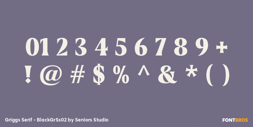 Griggs Serif - BlackGrSs02 Font Poster #4