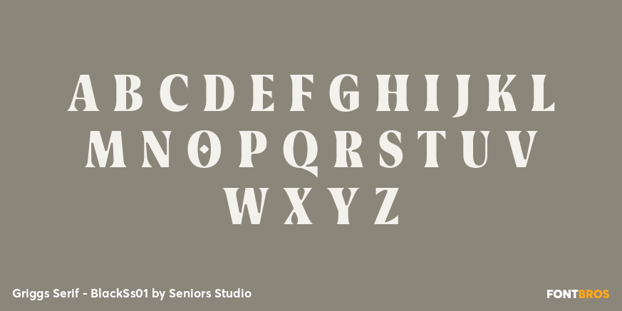 Griggs Serif - BlackSs01 Font Poster #2