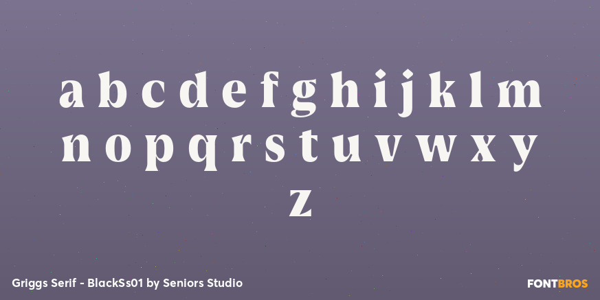 Griggs Serif - BlackSs01 Font Poster #3