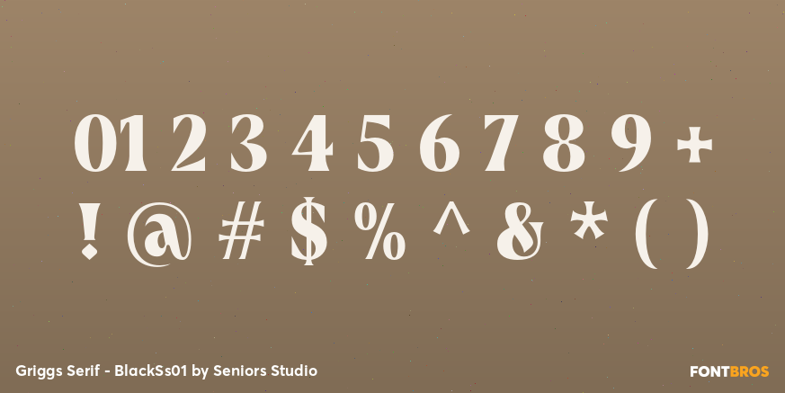 Griggs Serif - BlackSs01 Font Poster #4