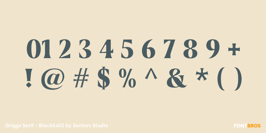 Griggs Serif - BlackSs02 Font Poster #1