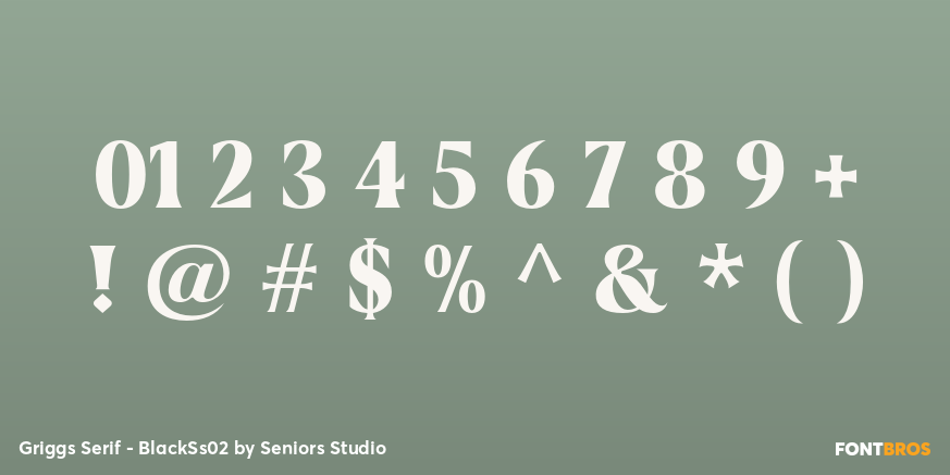 Griggs Serif - BlackSs02 Font Poster #4