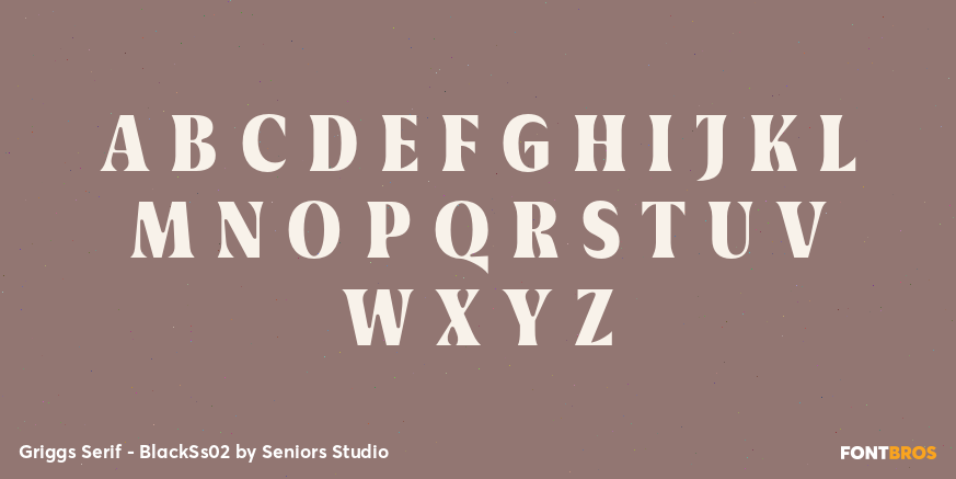 Griggs Serif - BlackSs02 Font Poster #1