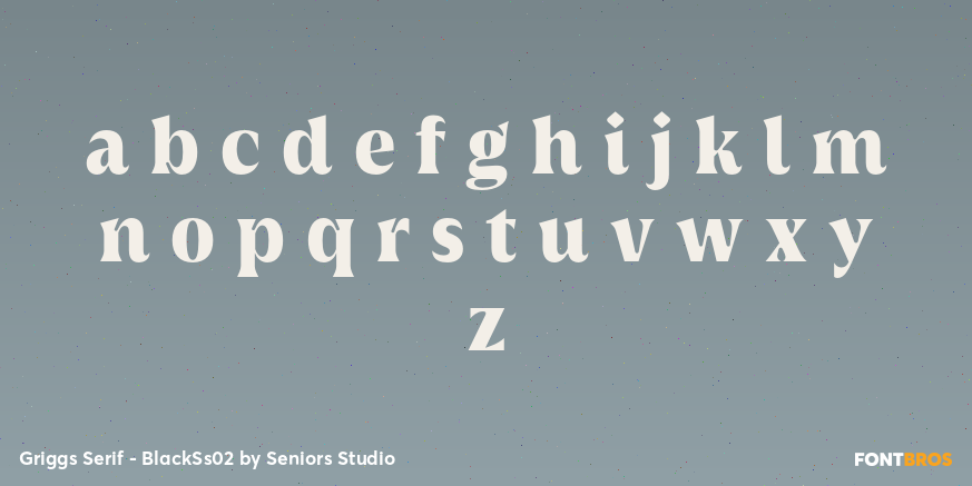 Griggs Serif - BlackSs02 Font Poster #1