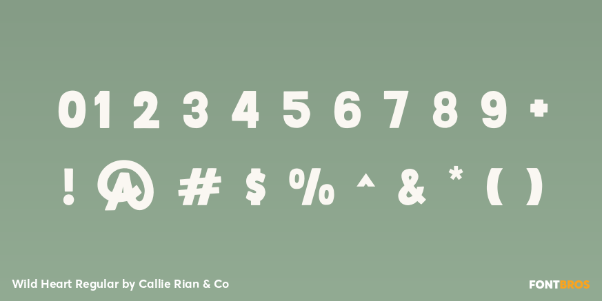 Wild Heart Regular Font Poster #1