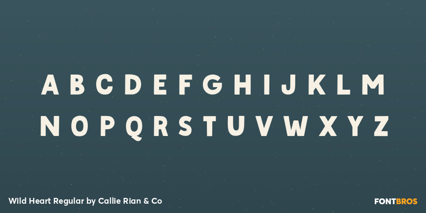 Wild Heart Regular Font Poster #2