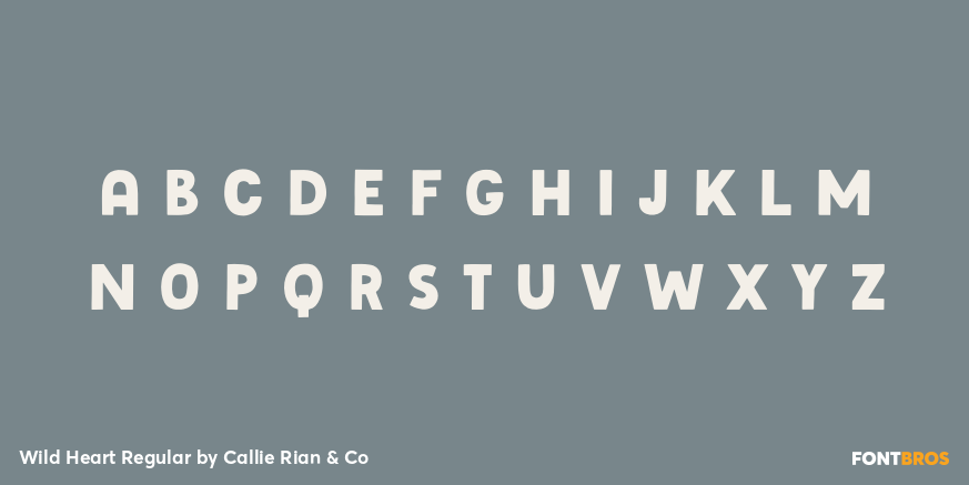 Wild Heart Regular Font Poster #3