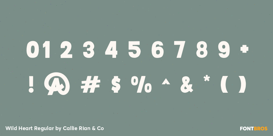 Wild Heart Regular Font Poster #4