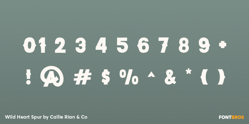 Wild Heart Spur Font Poster #1