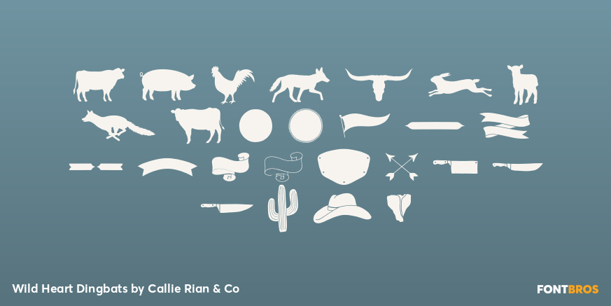 Wild Heart Dingbats Font Poster #1