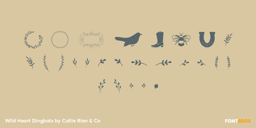 Wild Heart Dingbats Font Poster #1