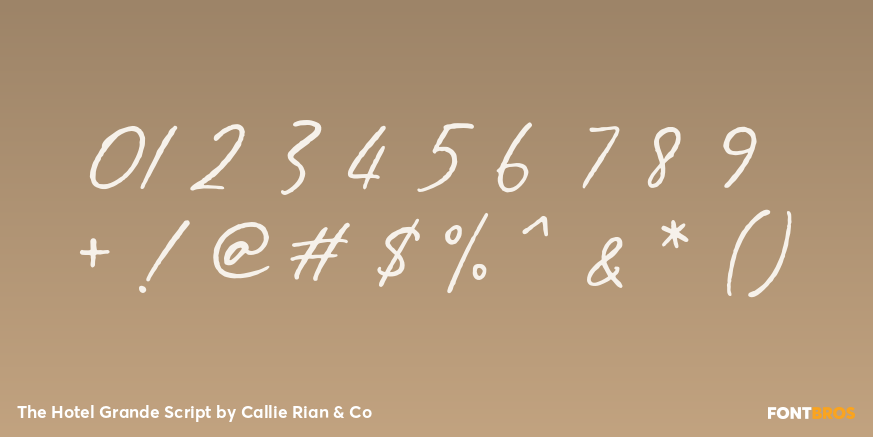 The Hotel Grande Script Font Poster #4