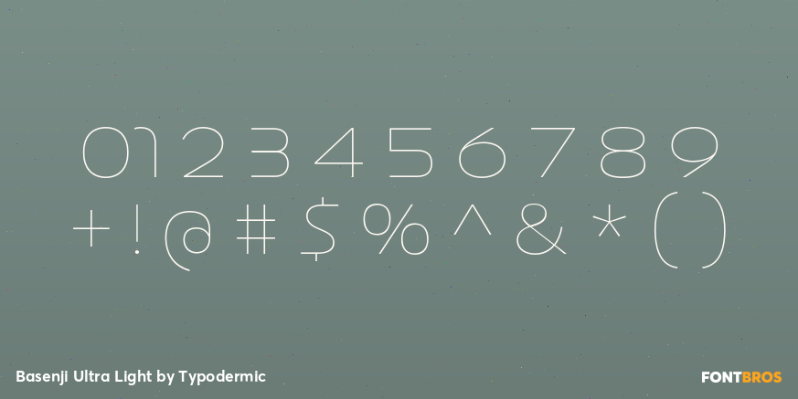 Basenji Ultra Light Font Poster #1