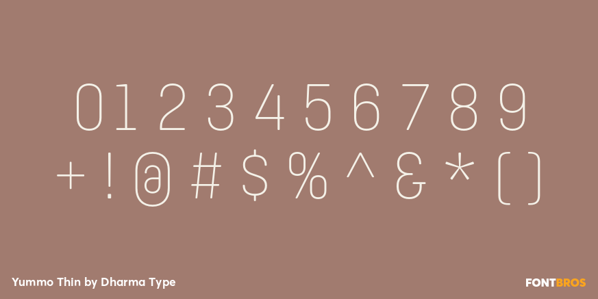 Yummo Thin Font Poster #4