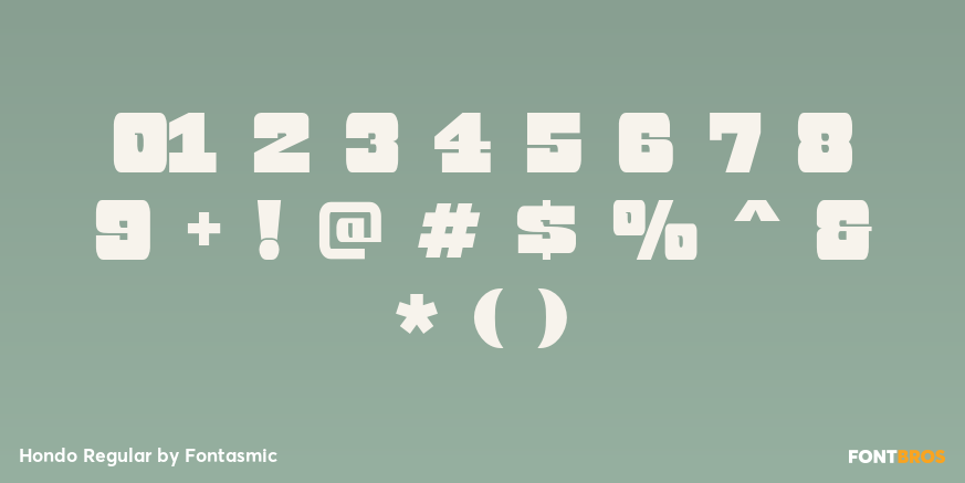 Hondo Regular Font Poster #4