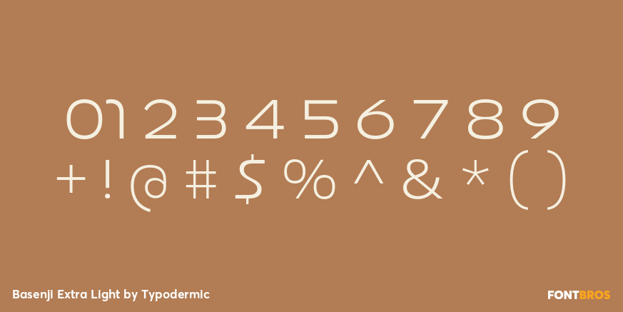 Basenji Extra Light Font Poster #4