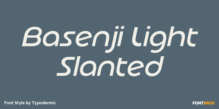 Basenji Light Slanted Poster