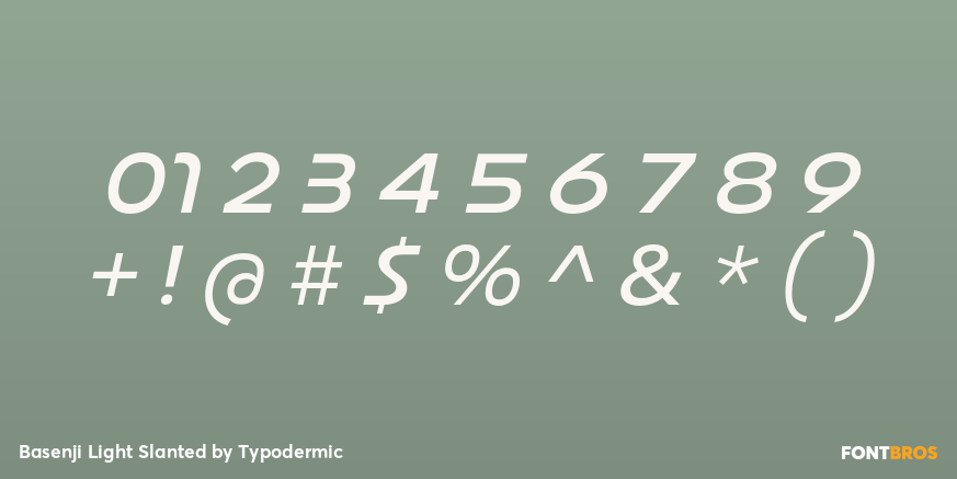 Basenji Light Slanted Font Poster #4