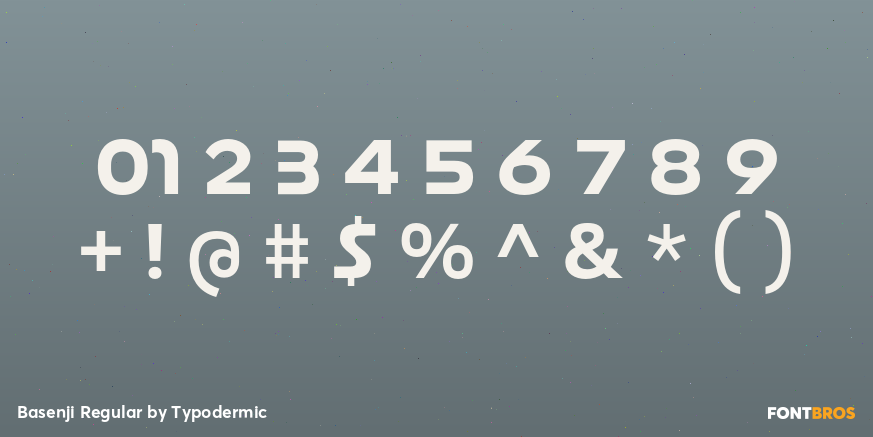 Basenji Regular Font Poster #1