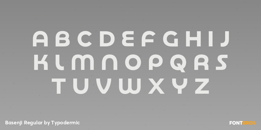 Basenji Regular Font Poster #2